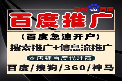 SEM广告投放的创意与执行：成功案例剖析